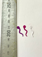 Load image into Gallery viewer, “Tadpole” Shaped Glitter
