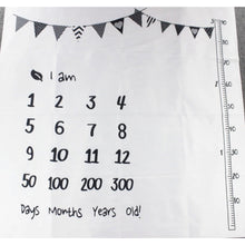 Load image into Gallery viewer, Baby Milestone Photo Props
