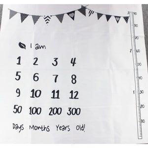 Baby Milestone Photo Props