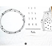 Load image into Gallery viewer, Baby Milestone Photo Props
