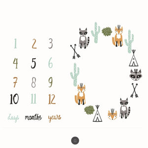 Baby Milestone Photo Props