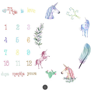 Baby Milestone Photo Props