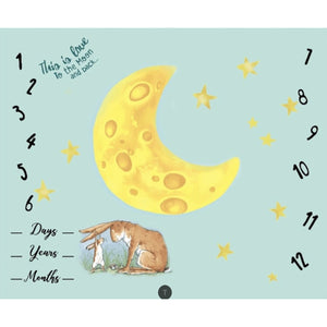 Baby Milestone Photo Props
