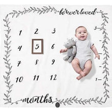 Load image into Gallery viewer, Baby Milestone Photo Props
