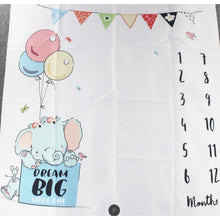 Load image into Gallery viewer, Baby Milestone Photo Props
