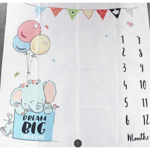 Baby Milestone Photo Props